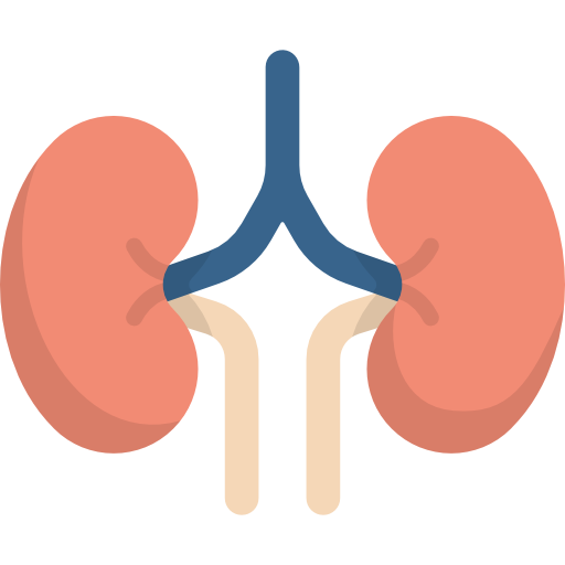 Nefrologo pediatra